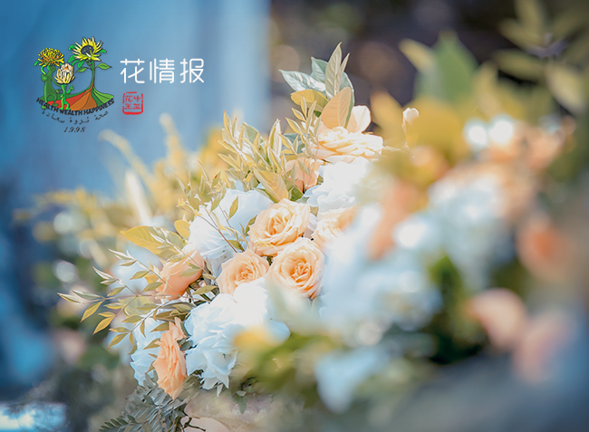 花情報(bào)